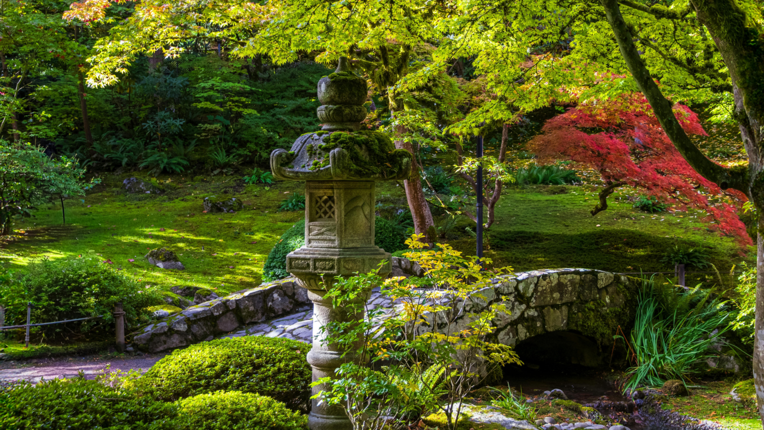 Jardin japonais